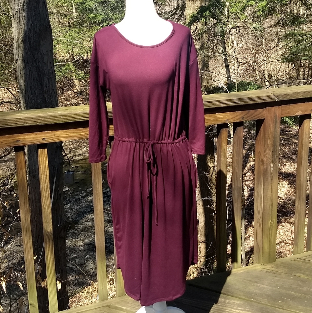 NWT| Marron knee length dress